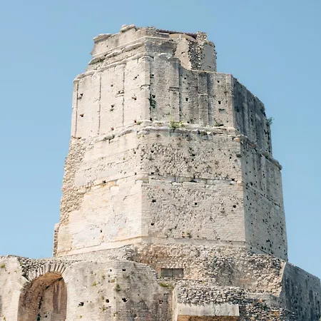 La Palm Yourhosthelper *