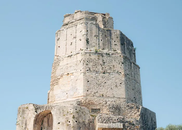 La Palm Yourhosthelper *